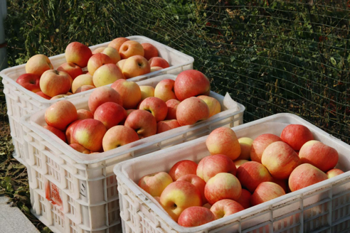 2021-10-20 19:04:30.516000