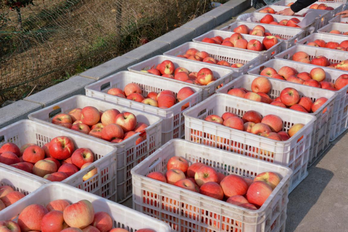 53d053e88d983a60297b9b1b922fb43