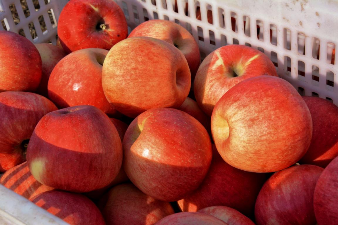 e3b9e6f560e43efc1485afd366adda2