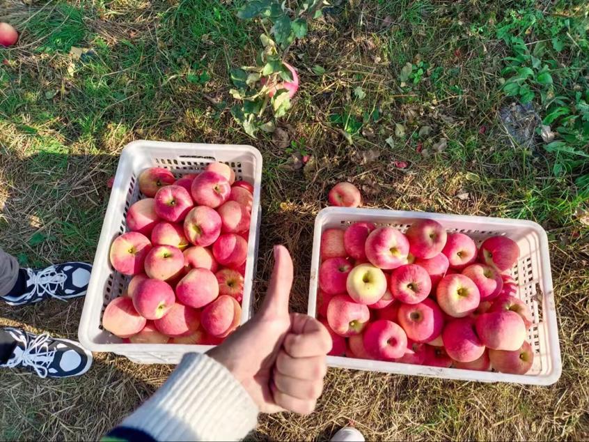 2021-10-20 18:28:10.573000