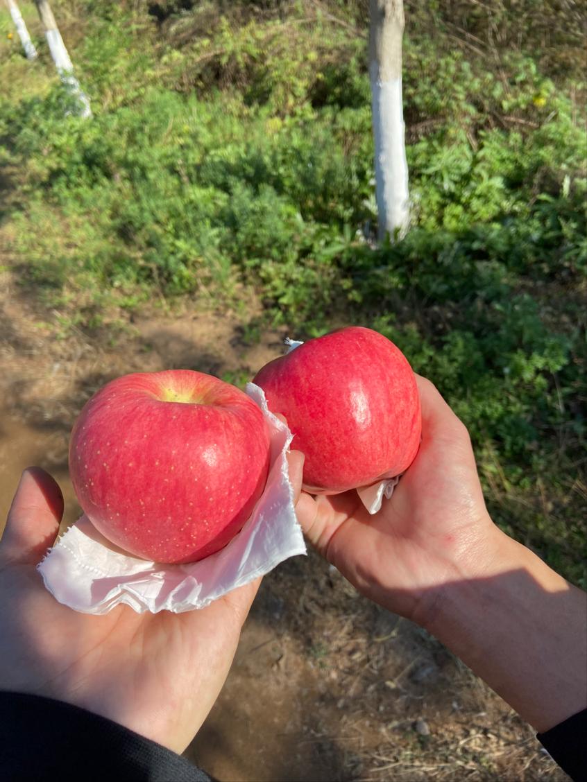 2021-10-20 19:02:23.154000